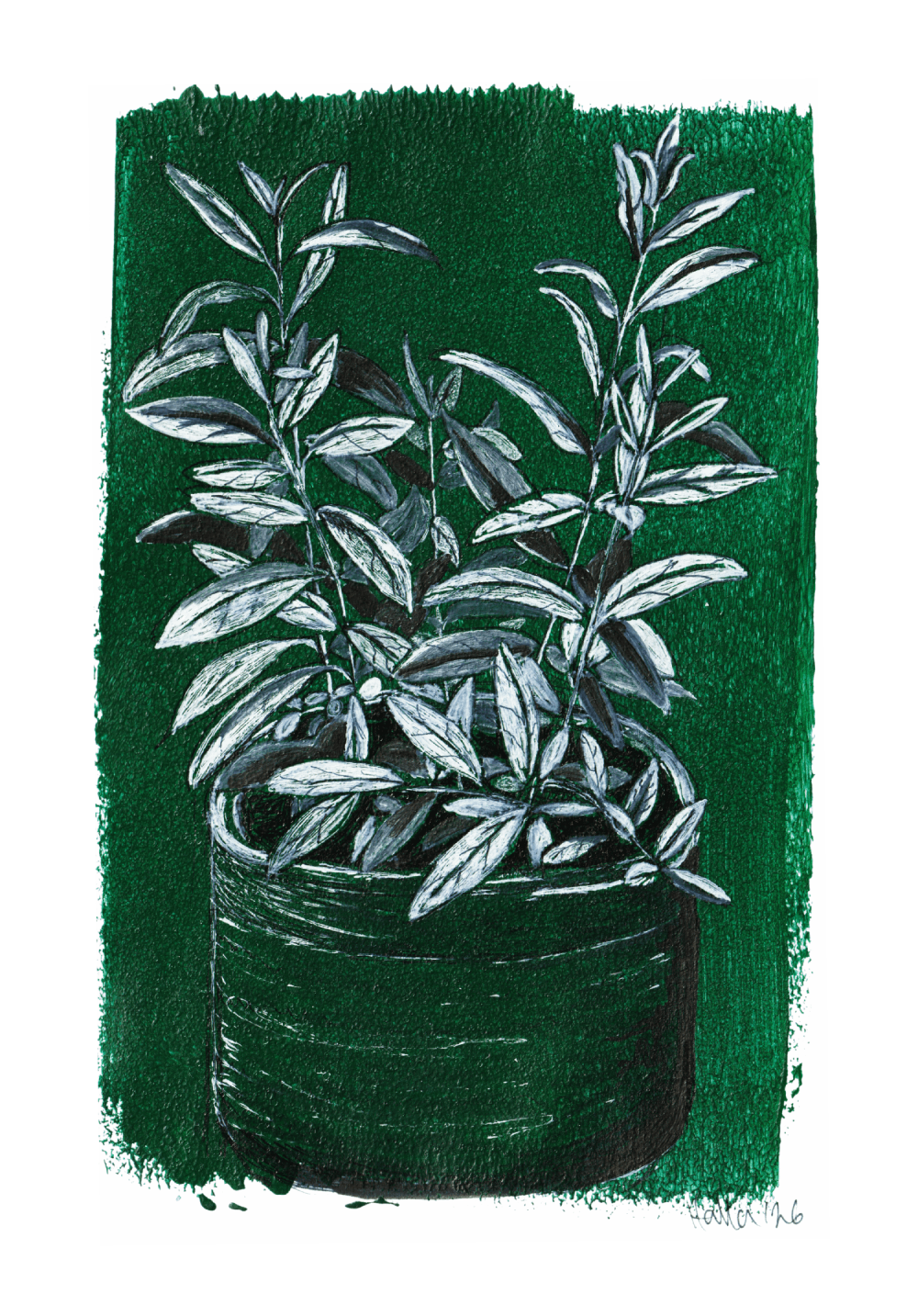 Potted pomegranate plant pen drawing with white gel pen leaves on emerald green background